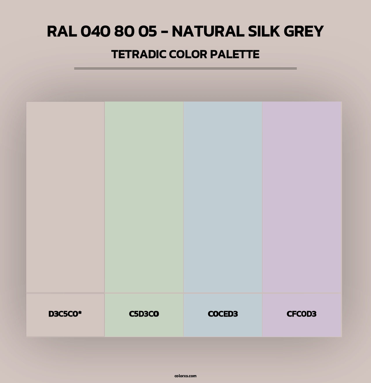 RAL 040 80 05 - Natural Silk Grey - Tetradic Color Palette