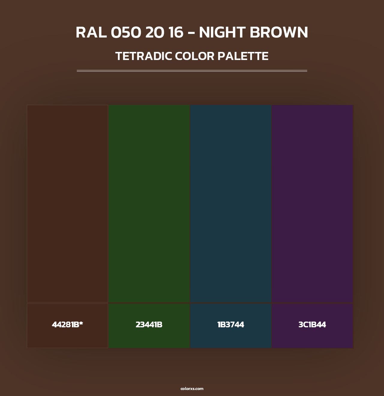 RAL 050 20 16 - Night Brown - Tetradic Color Palette