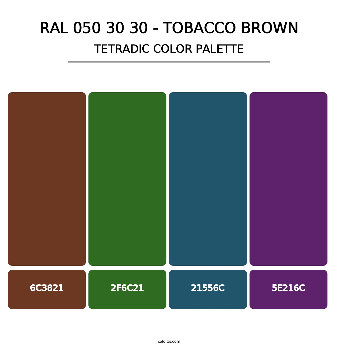 RAL 050 30 30 - Tobacco Brown - Tetradic Color Palette