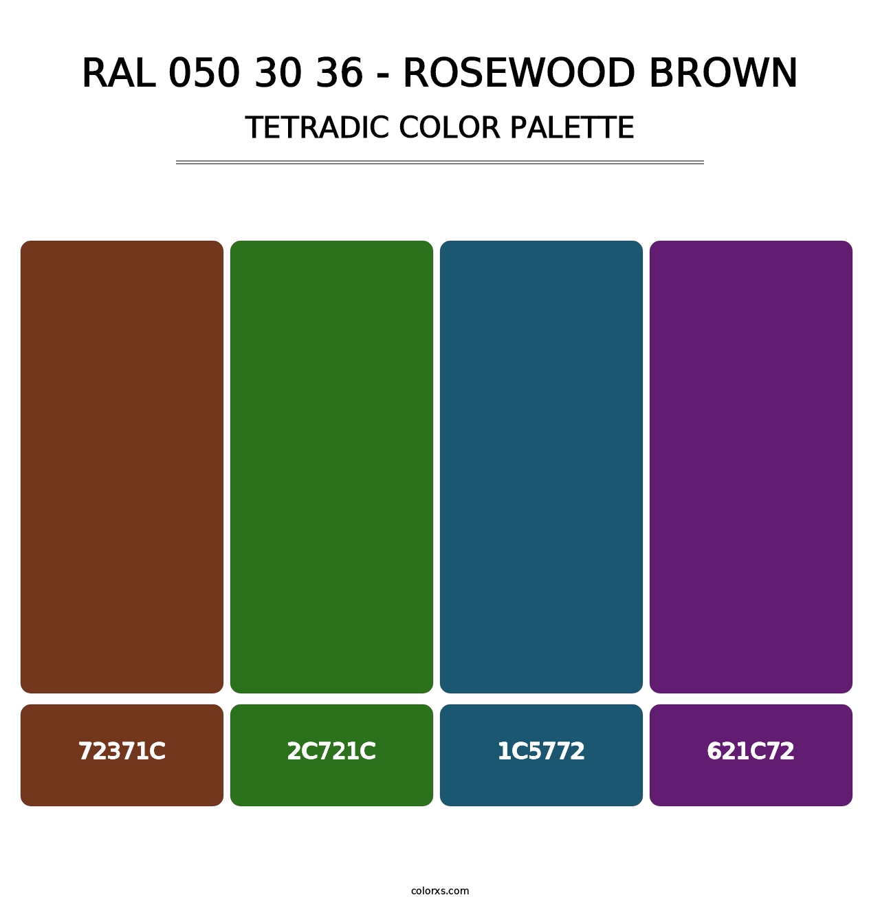 RAL 050 30 36 - Rosewood Brown - Tetradic Color Palette