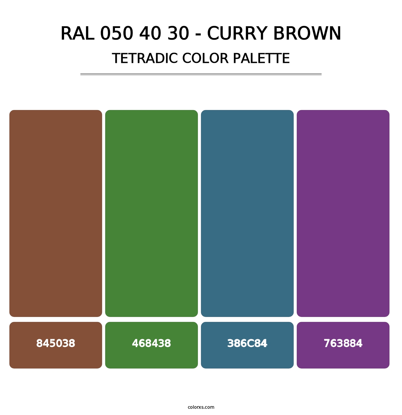RAL 050 40 30 - Curry Brown - Tetradic Color Palette