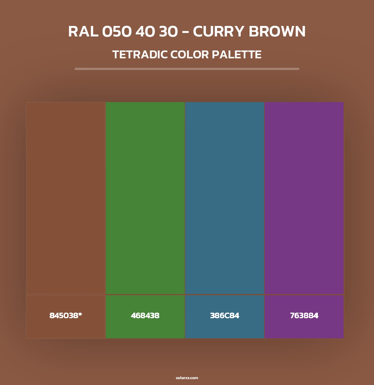 RAL 050 40 30 - Curry Brown - Tetradic Color Palette