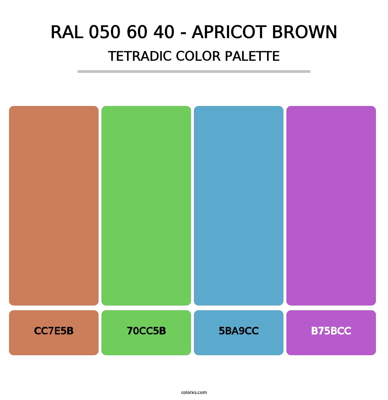 RAL 050 60 40 - Apricot Brown - Tetradic Color Palette