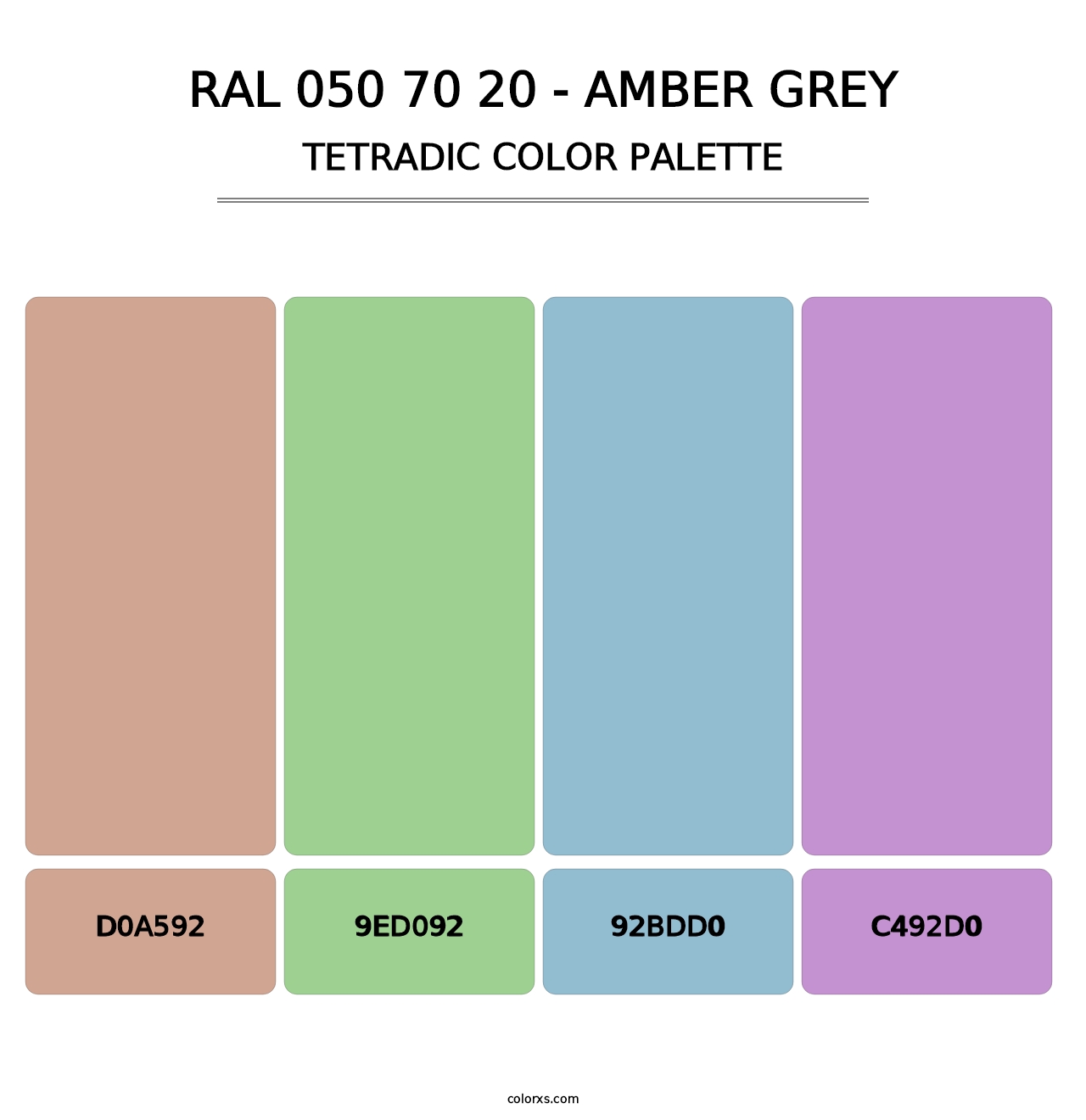 RAL 050 70 20 - Amber Grey - Tetradic Color Palette