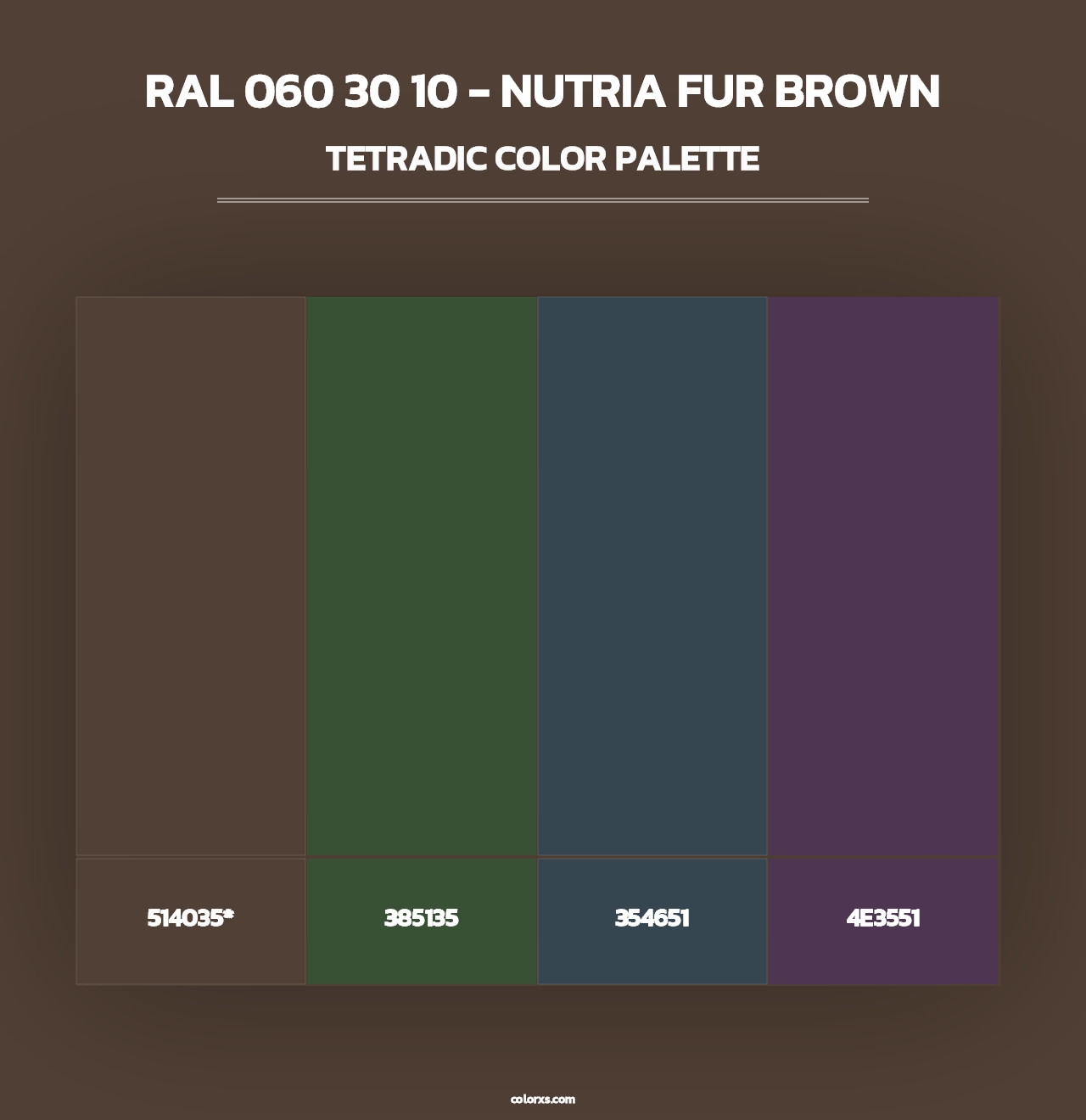 RAL 060 30 10 - Nutria Fur Brown - Tetradic Color Palette