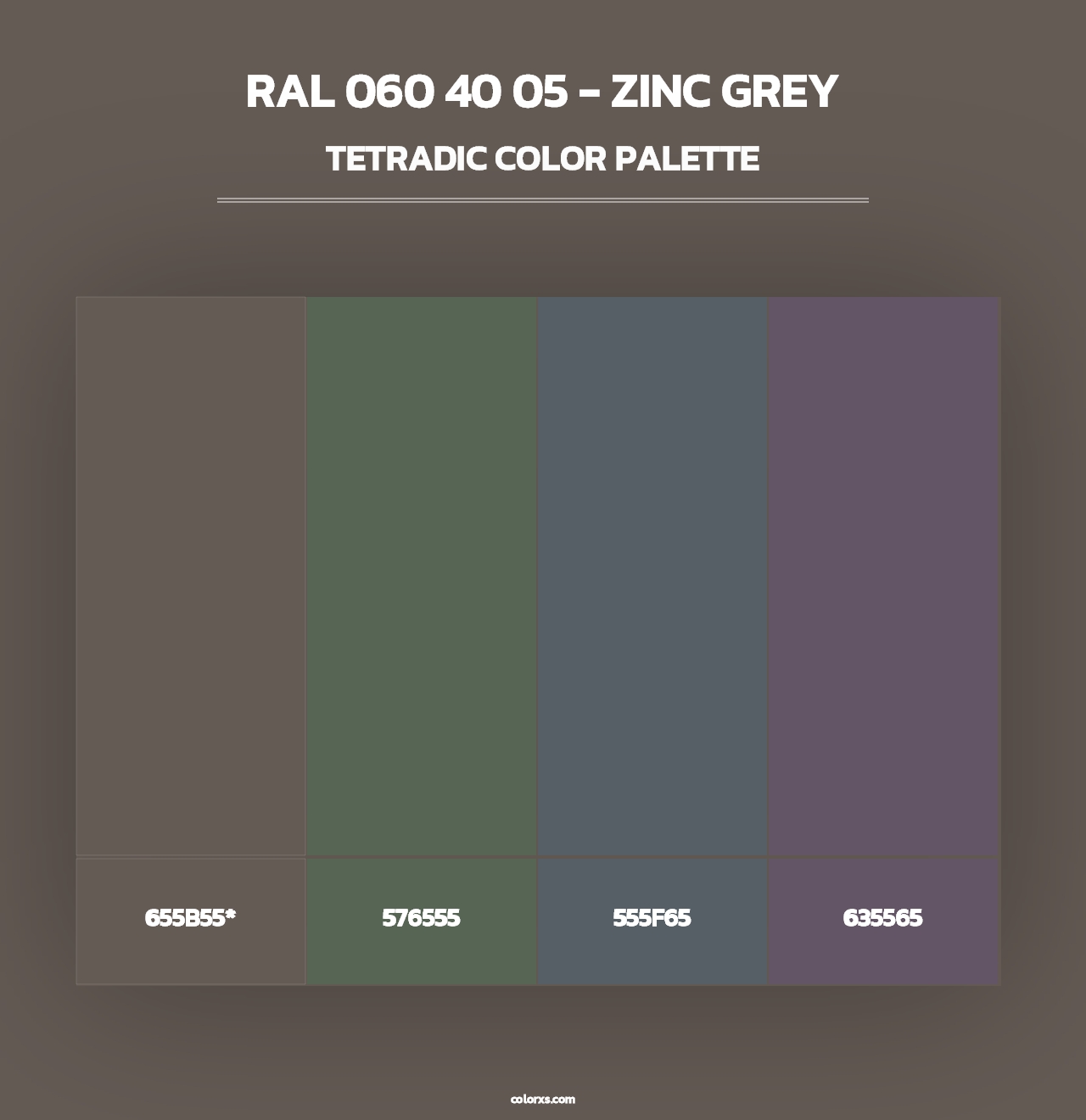 RAL 060 40 05 - Zinc Grey - Tetradic Color Palette