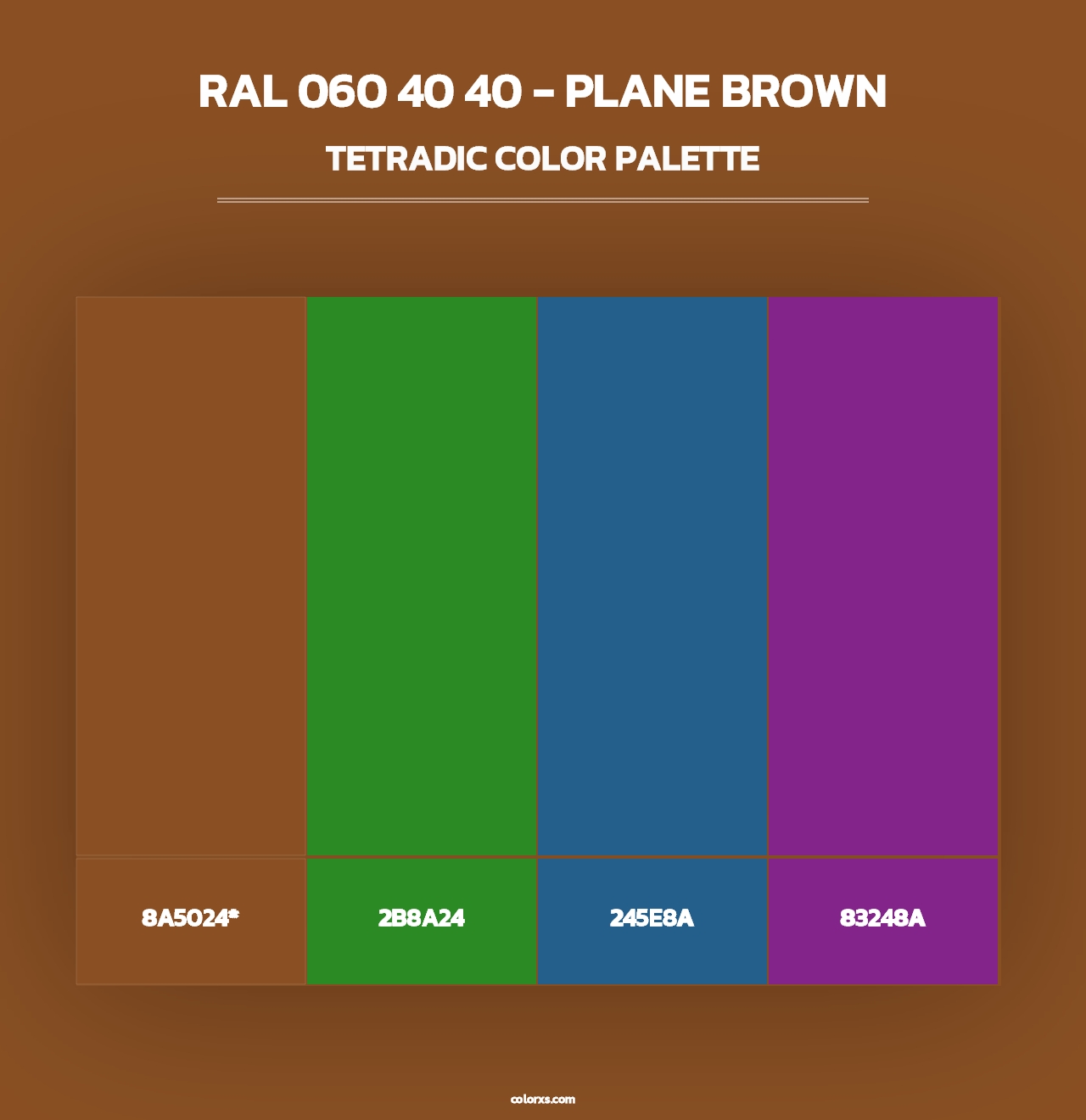 RAL 060 40 40 - Plane Brown - Tetradic Color Palette