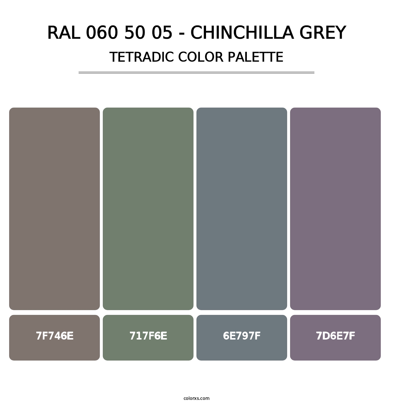 RAL 060 50 05 - Chinchilla Grey - Tetradic Color Palette