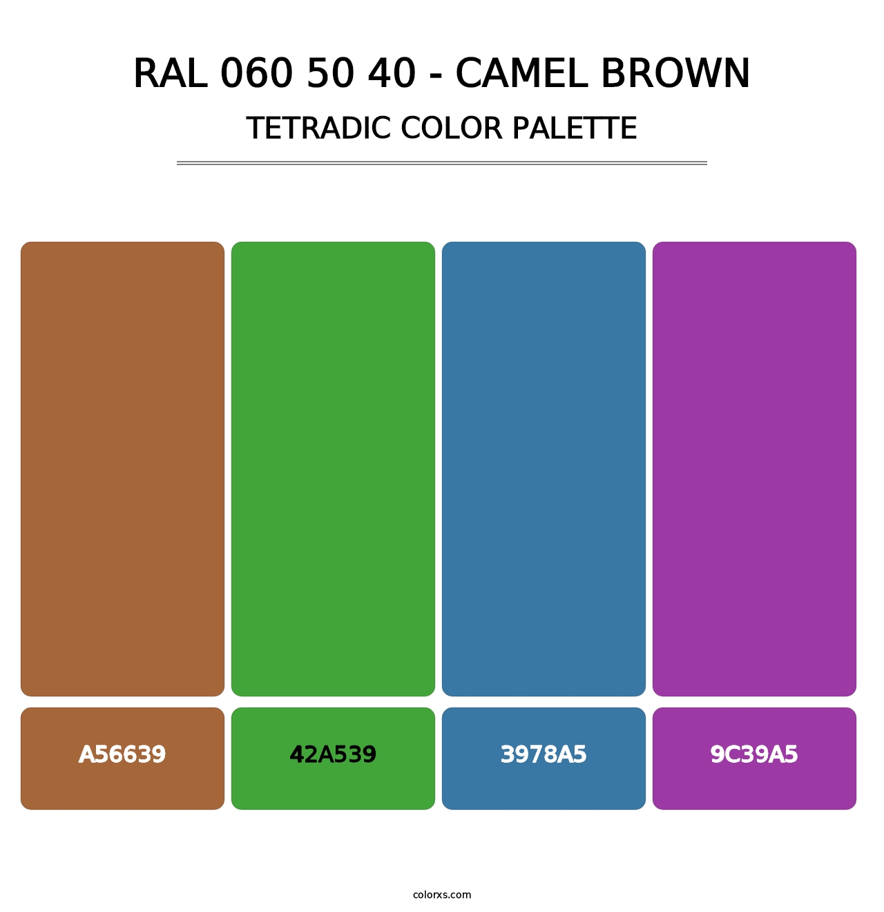 RAL 060 50 40 - Camel Brown - Tetradic Color Palette
