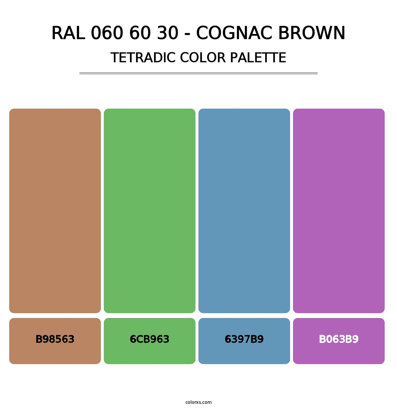 RAL 060 60 30 - Cognac Brown - Tetradic Color Palette