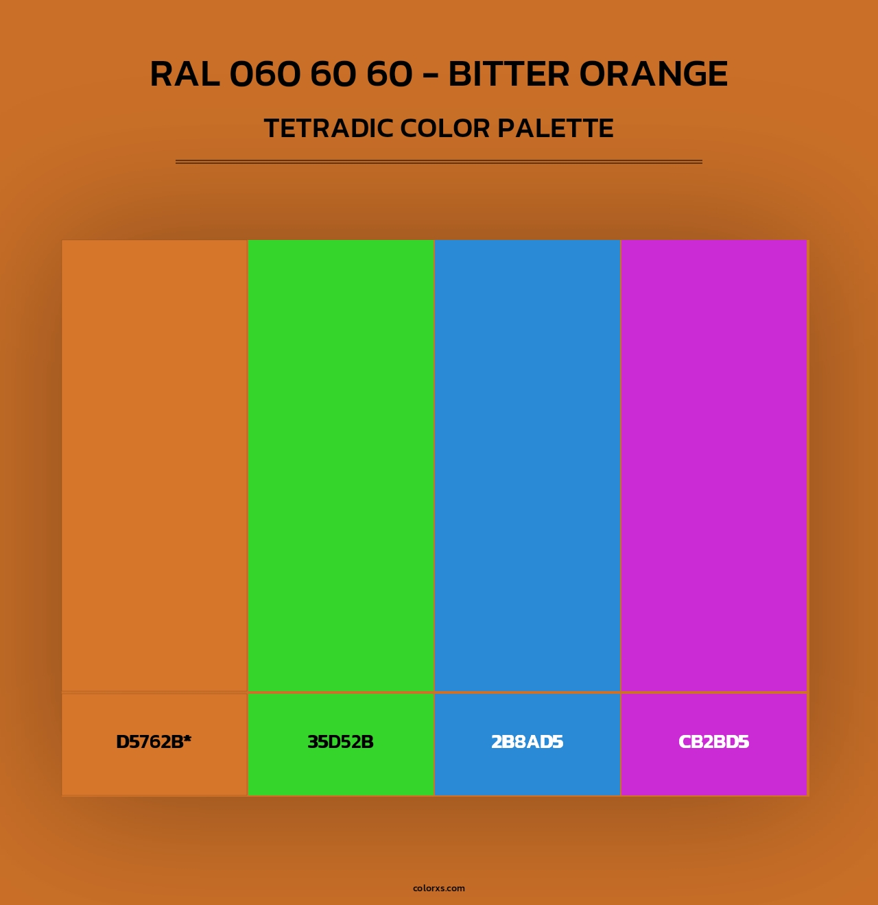 RAL 060 60 60 - Bitter Orange - Tetradic Color Palette