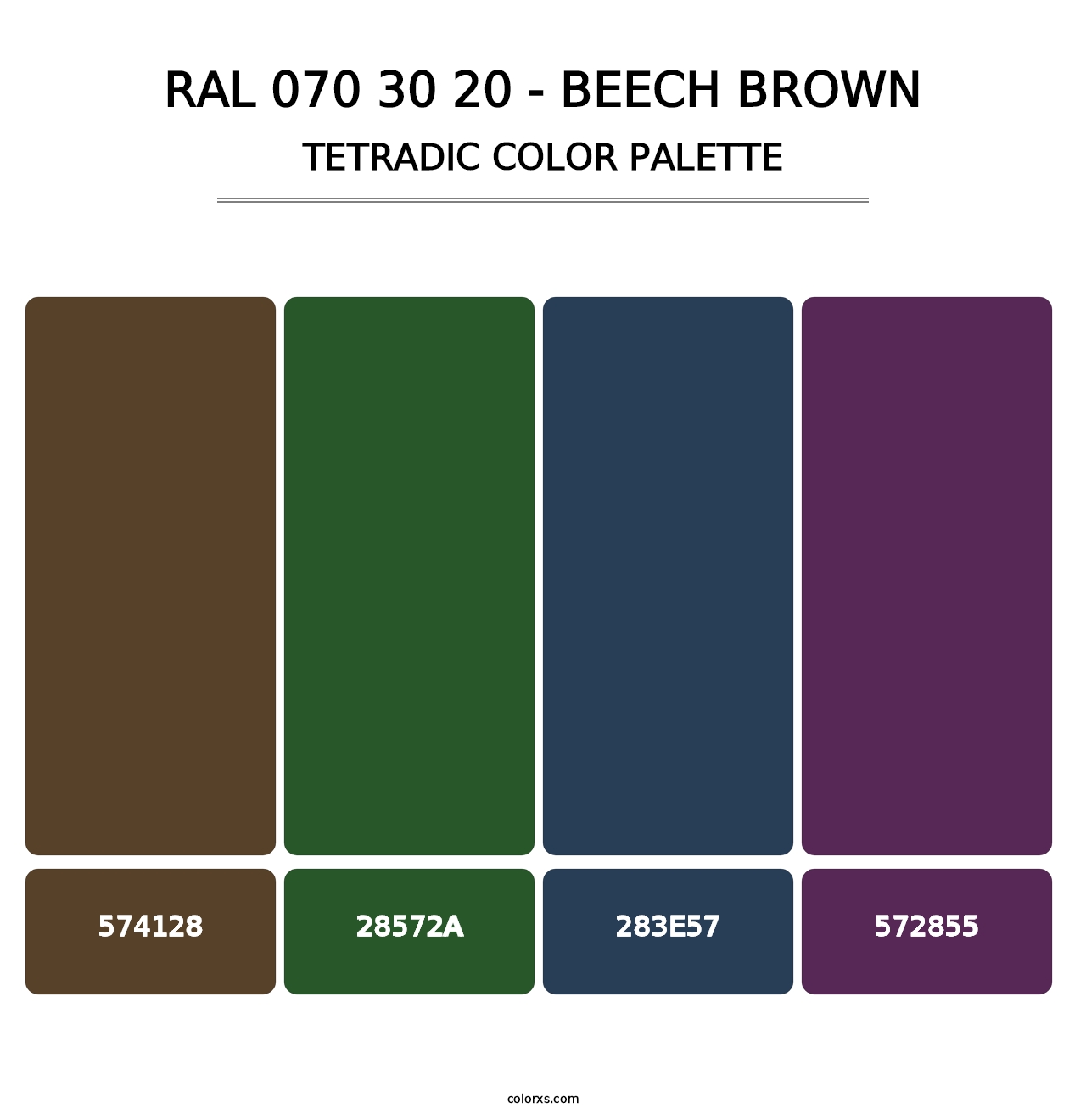 RAL 070 30 20 - Beech Brown - Tetradic Color Palette
