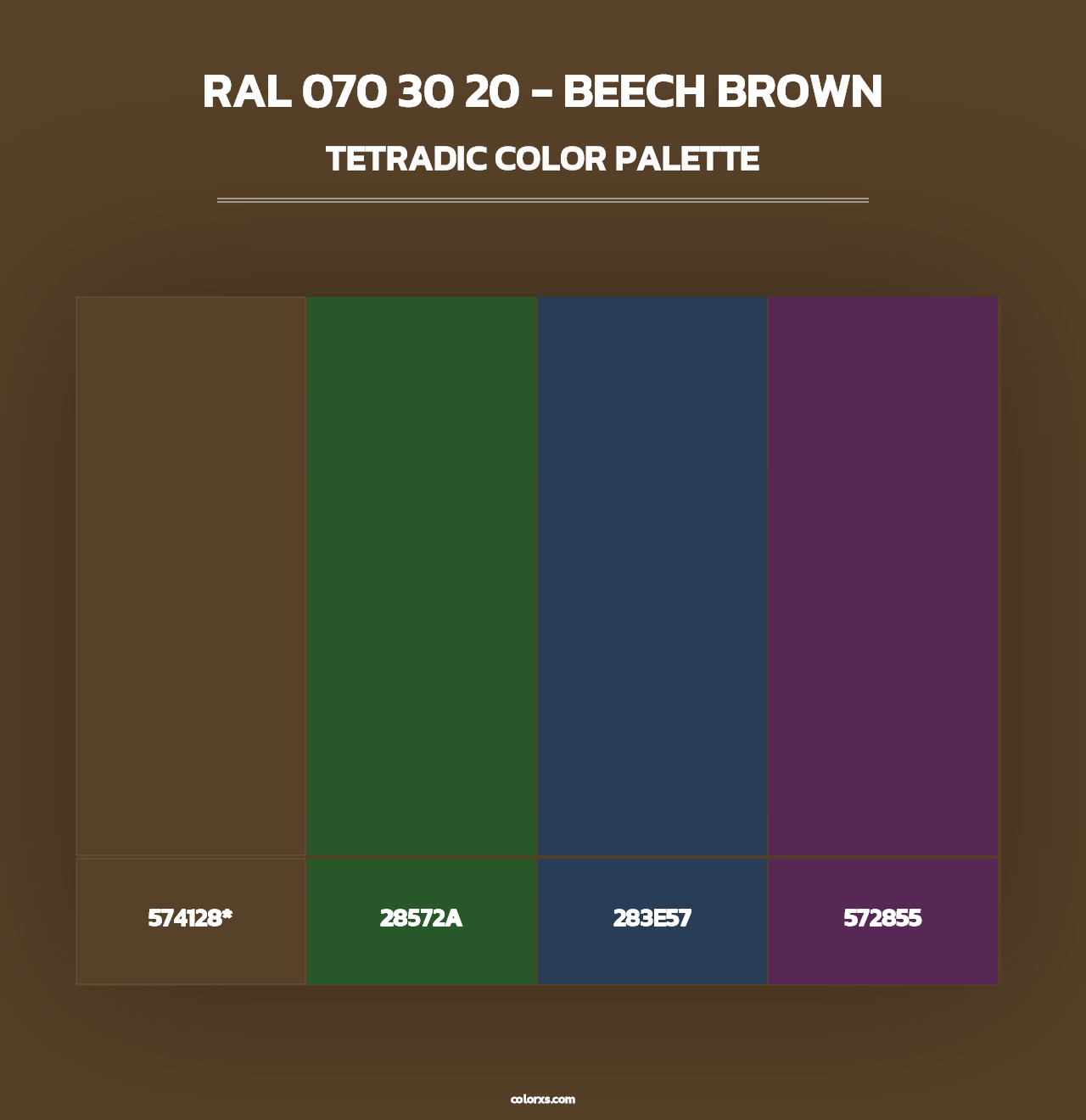 RAL 070 30 20 - Beech Brown - Tetradic Color Palette