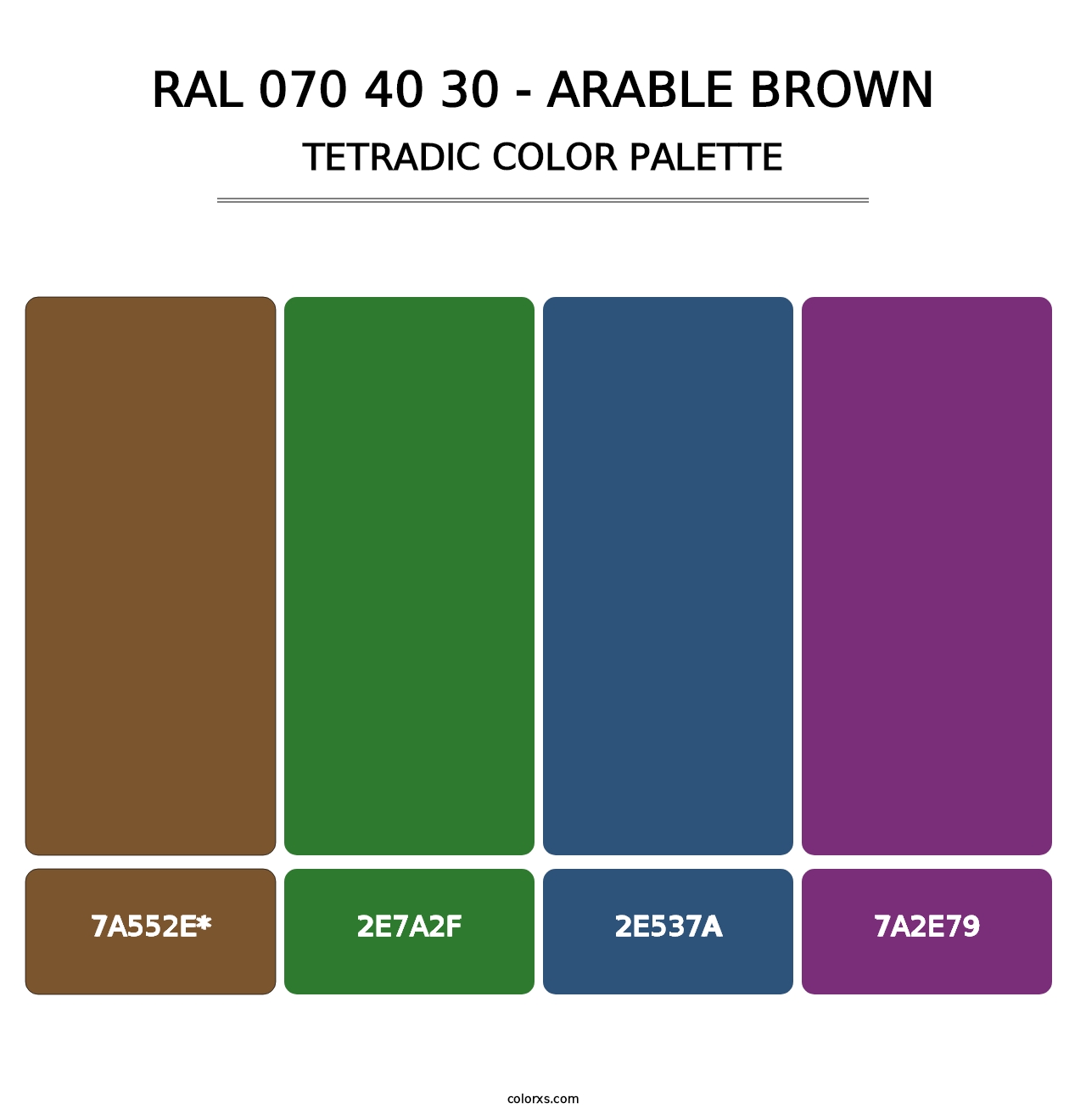 RAL 070 40 30 - Arable Brown - Tetradic Color Palette