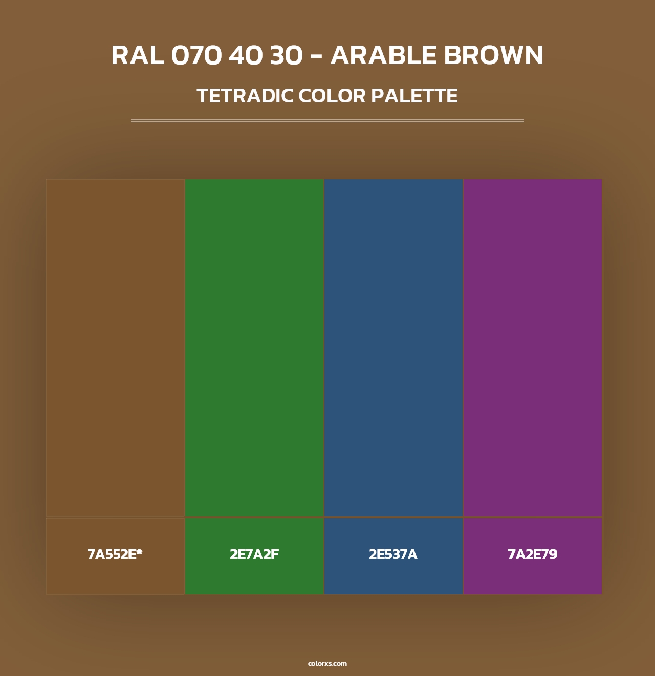 RAL 070 40 30 - Arable Brown - Tetradic Color Palette
