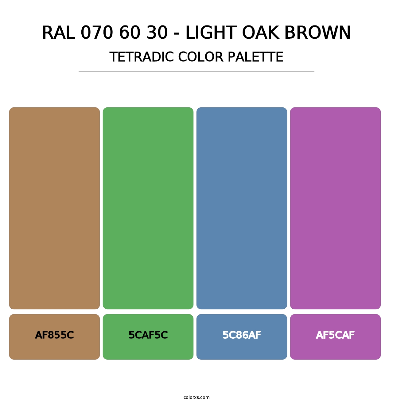 RAL 070 60 30 - Light Oak Brown - Tetradic Color Palette