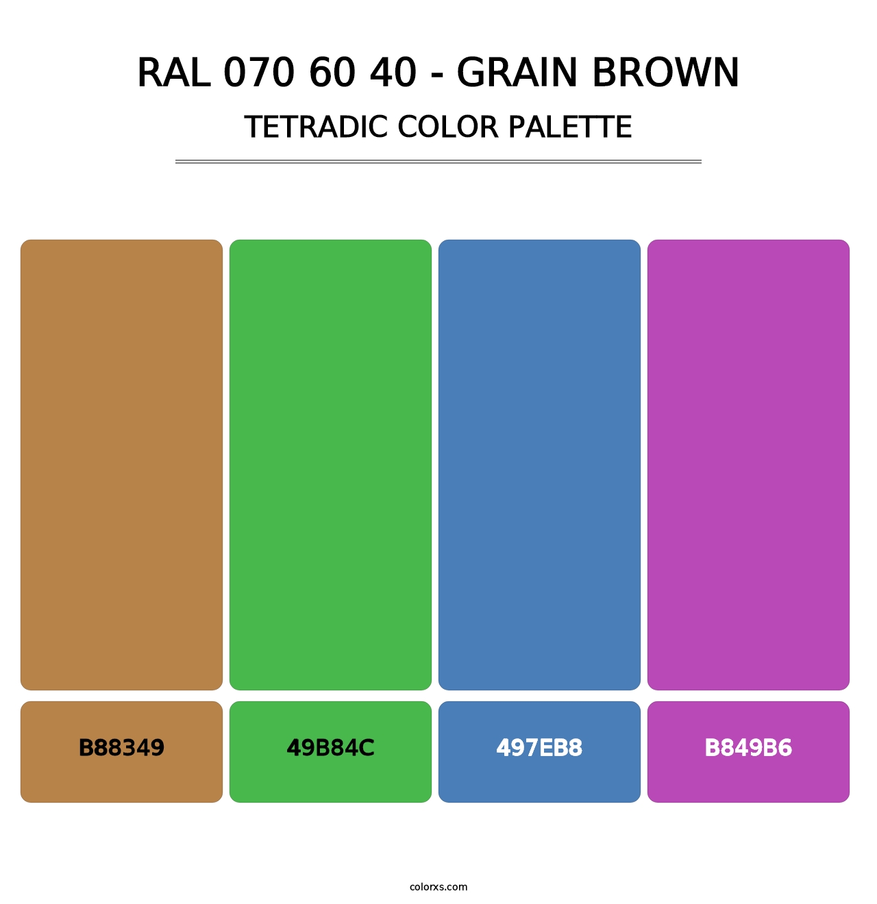 RAL 070 60 40 - Grain Brown - Tetradic Color Palette