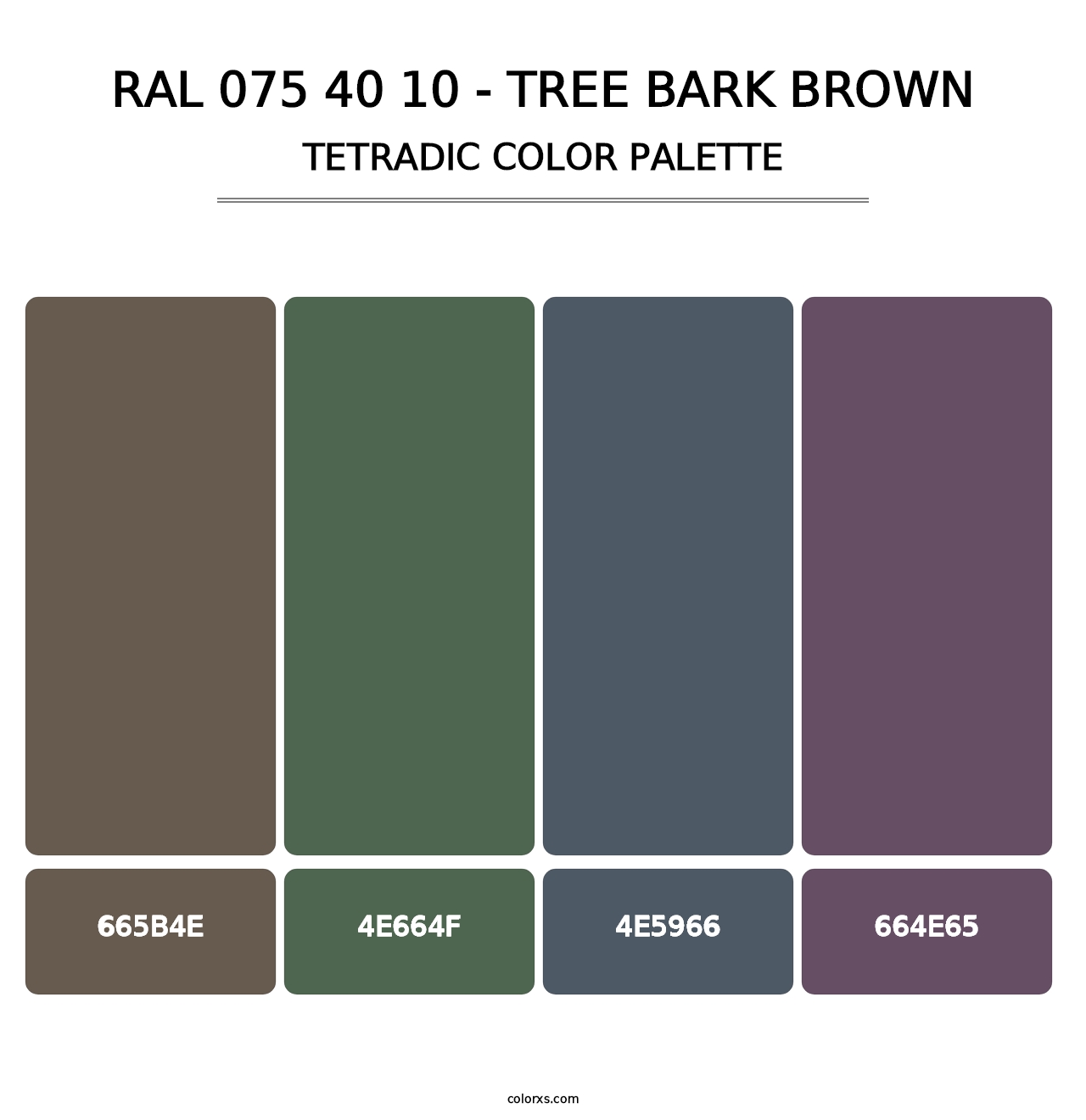 RAL 075 40 10 - Tree Bark Brown - Tetradic Color Palette