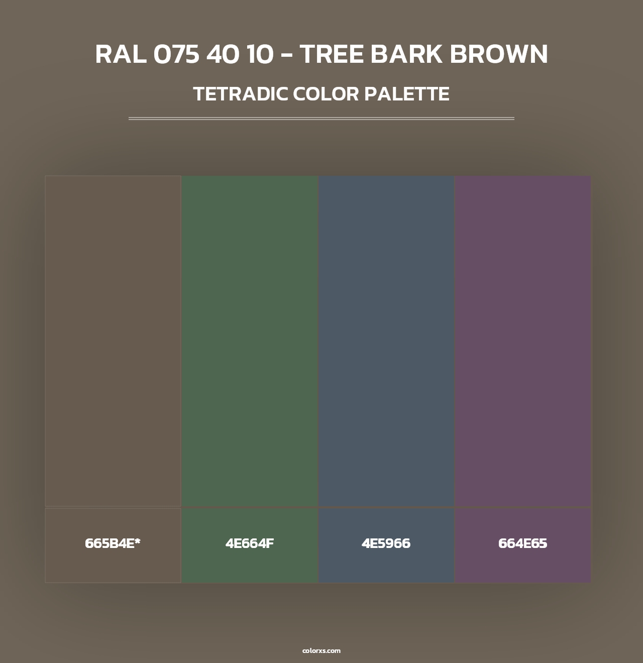 RAL 075 40 10 - Tree Bark Brown - Tetradic Color Palette