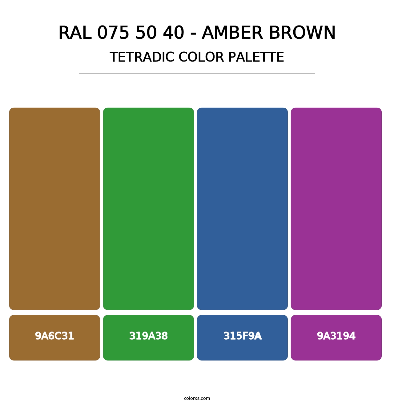RAL 075 50 40 - Amber Brown - Tetradic Color Palette