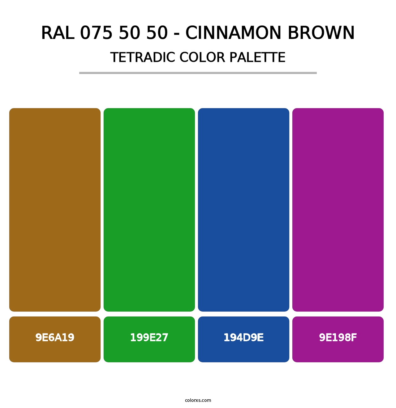 RAL 075 50 50 - Cinnamon Brown - Tetradic Color Palette