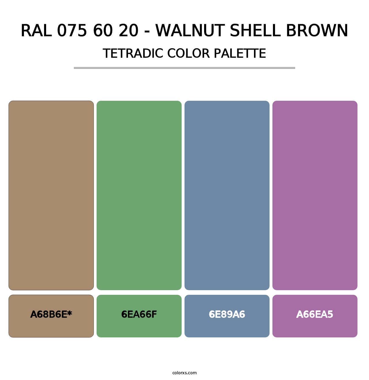 RAL 075 60 20 - Walnut Shell Brown - Tetradic Color Palette