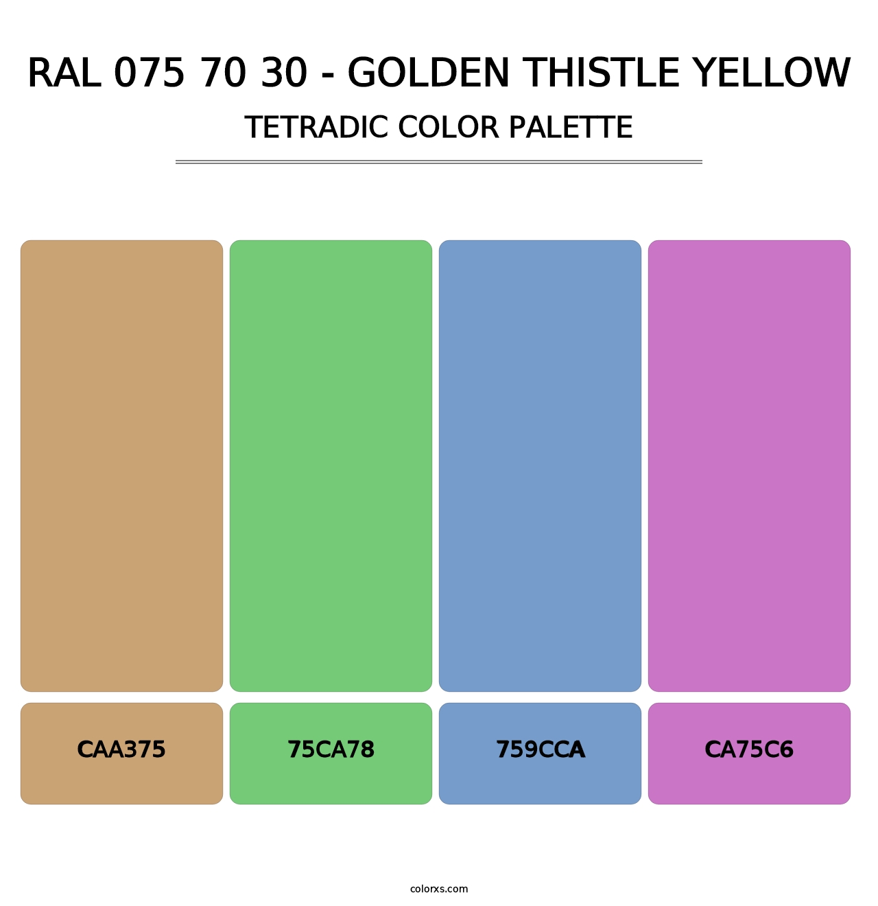 RAL 075 70 30 - Golden Thistle Yellow - Tetradic Color Palette