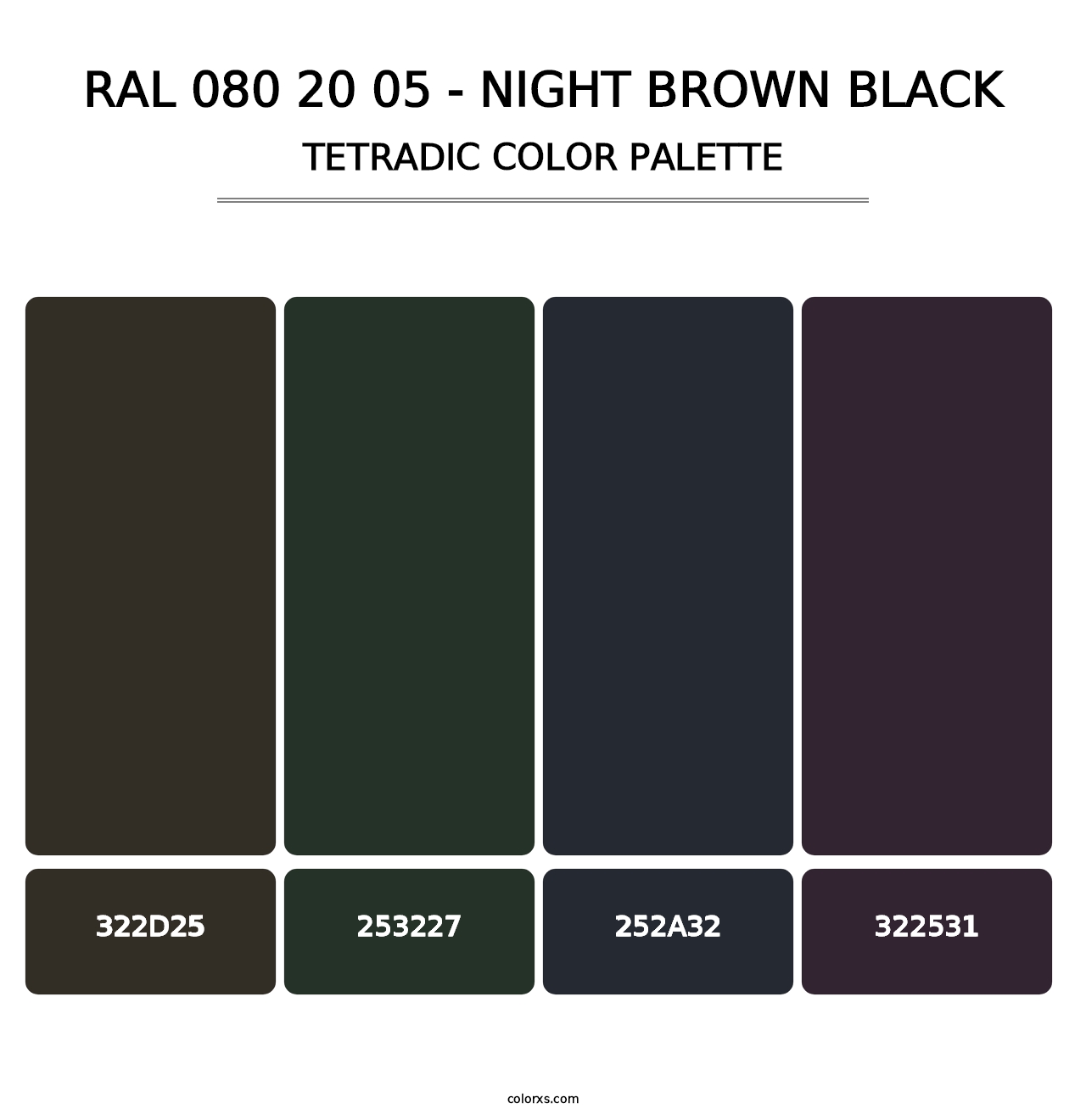 RAL 080 20 05 - Night Brown Black - Tetradic Color Palette