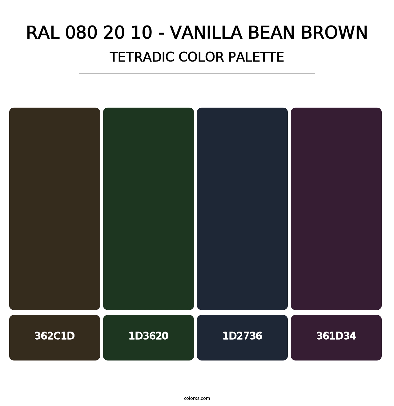 RAL 080 20 10 - Vanilla Bean Brown - Tetradic Color Palette