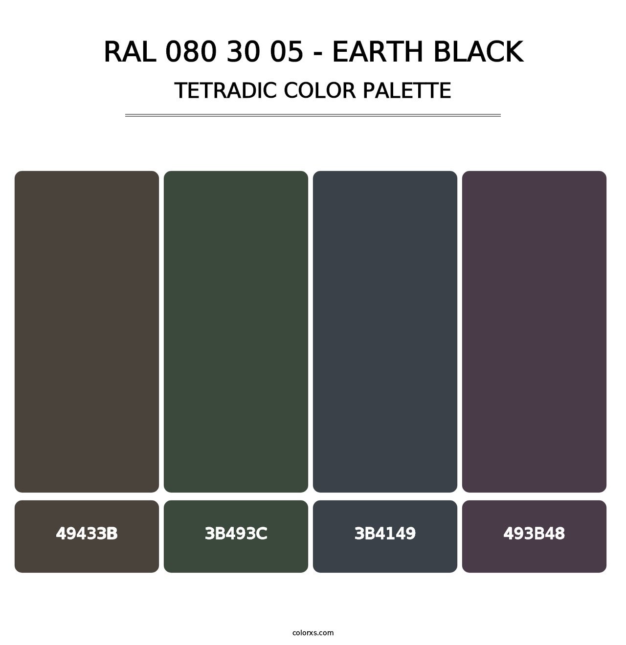 RAL 080 30 05 - Earth Black - Tetradic Color Palette