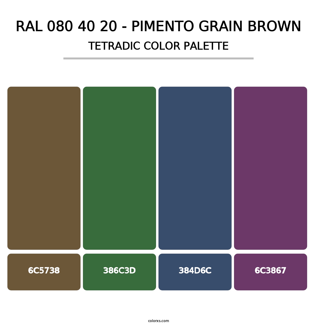RAL 080 40 20 - Pimento Grain Brown - Tetradic Color Palette
