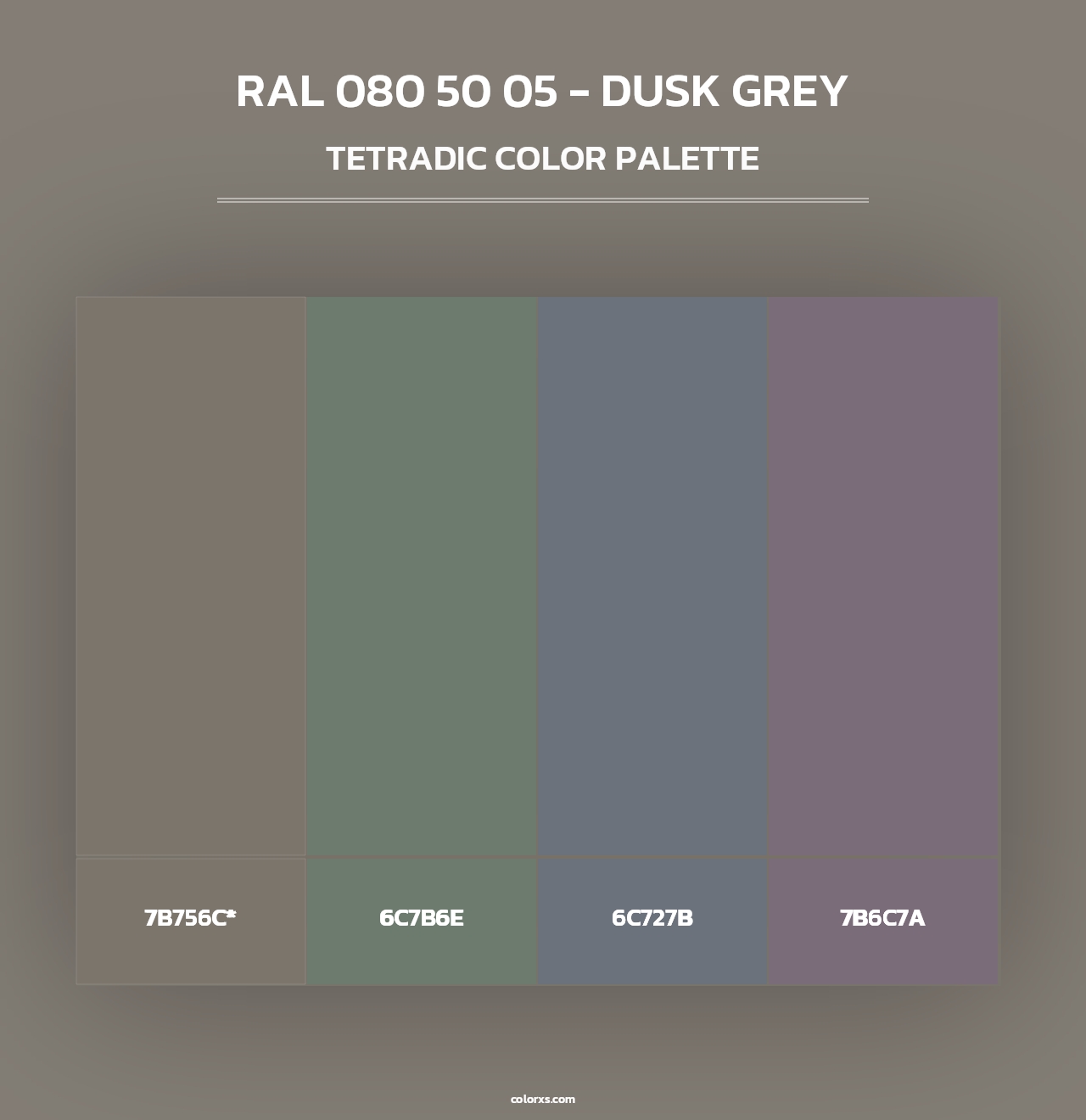 RAL 080 50 05 - Dusk Grey - Tetradic Color Palette