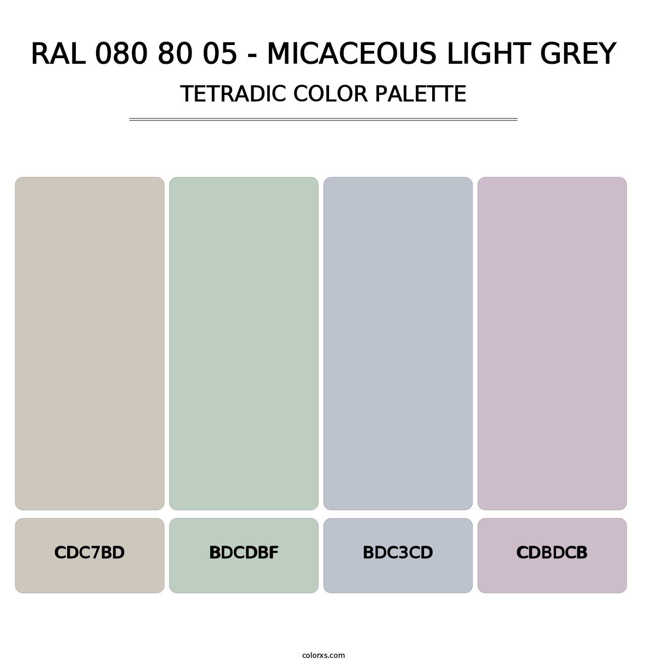 RAL 080 80 05 - Micaceous Light Grey - Tetradic Color Palette