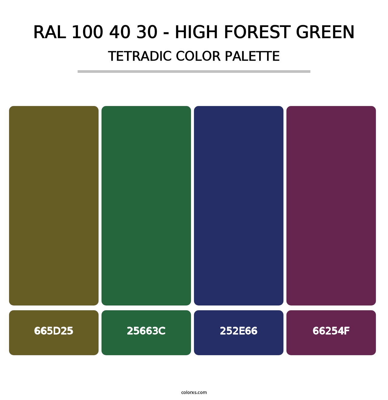 RAL 100 40 30 - High Forest Green - Tetradic Color Palette