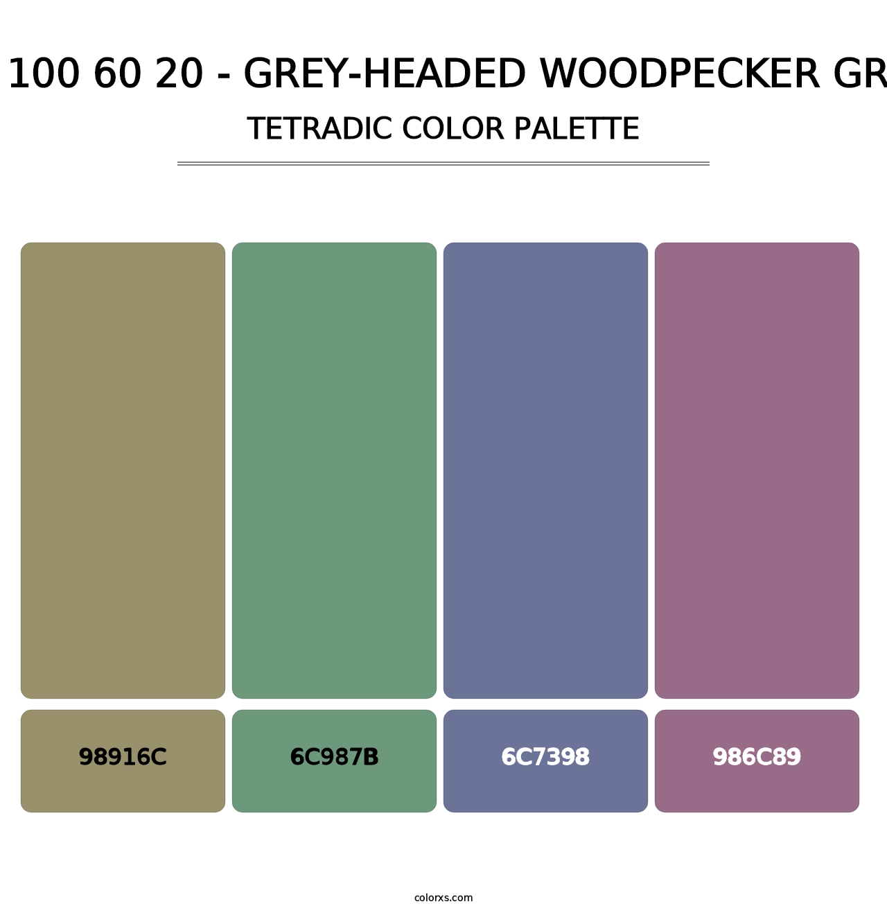 RAL 100 60 20 - Grey-Headed Woodpecker Green - Tetradic Color Palette