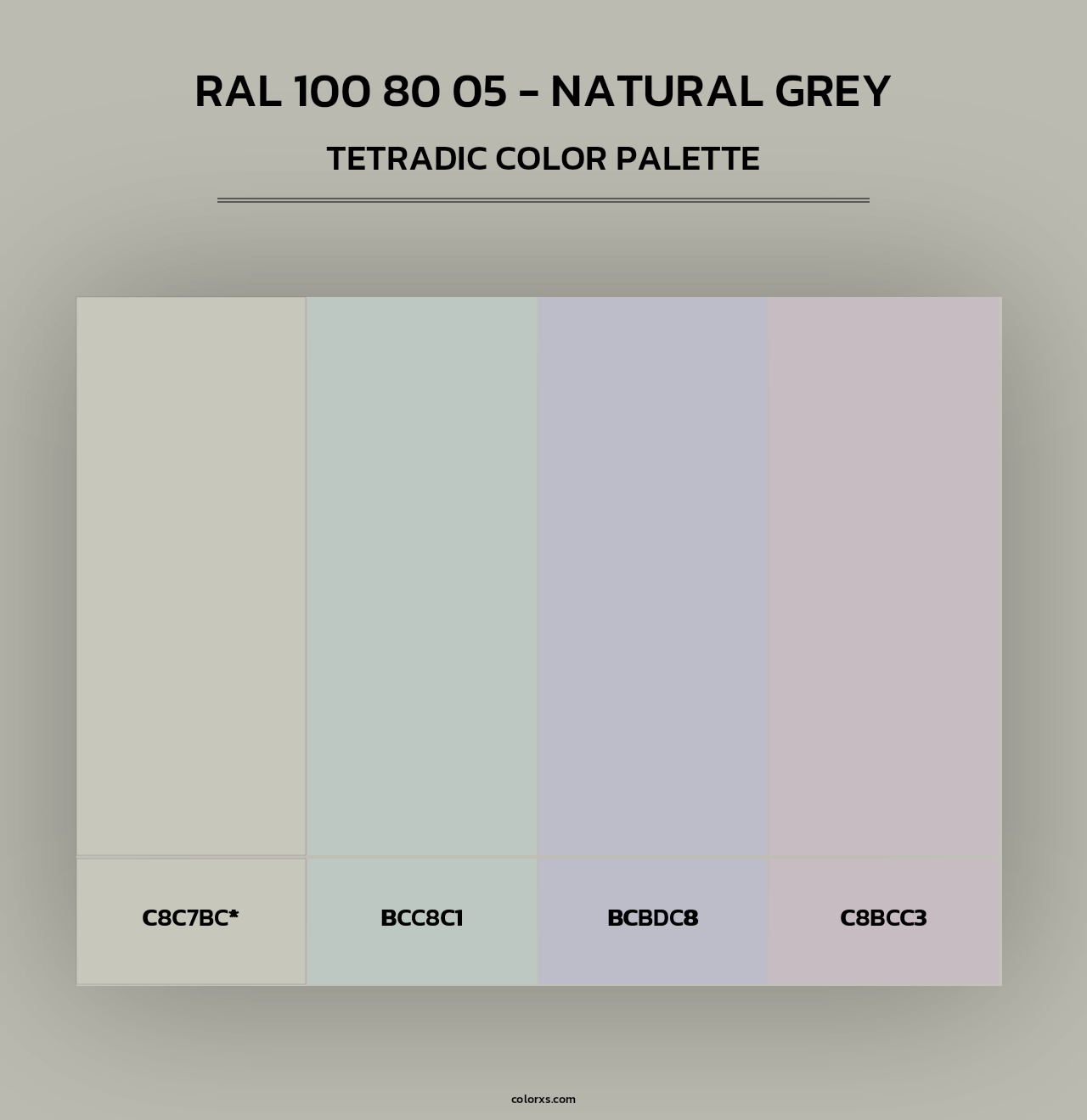 RAL 100 80 05 - Natural Grey - Tetradic Color Palette