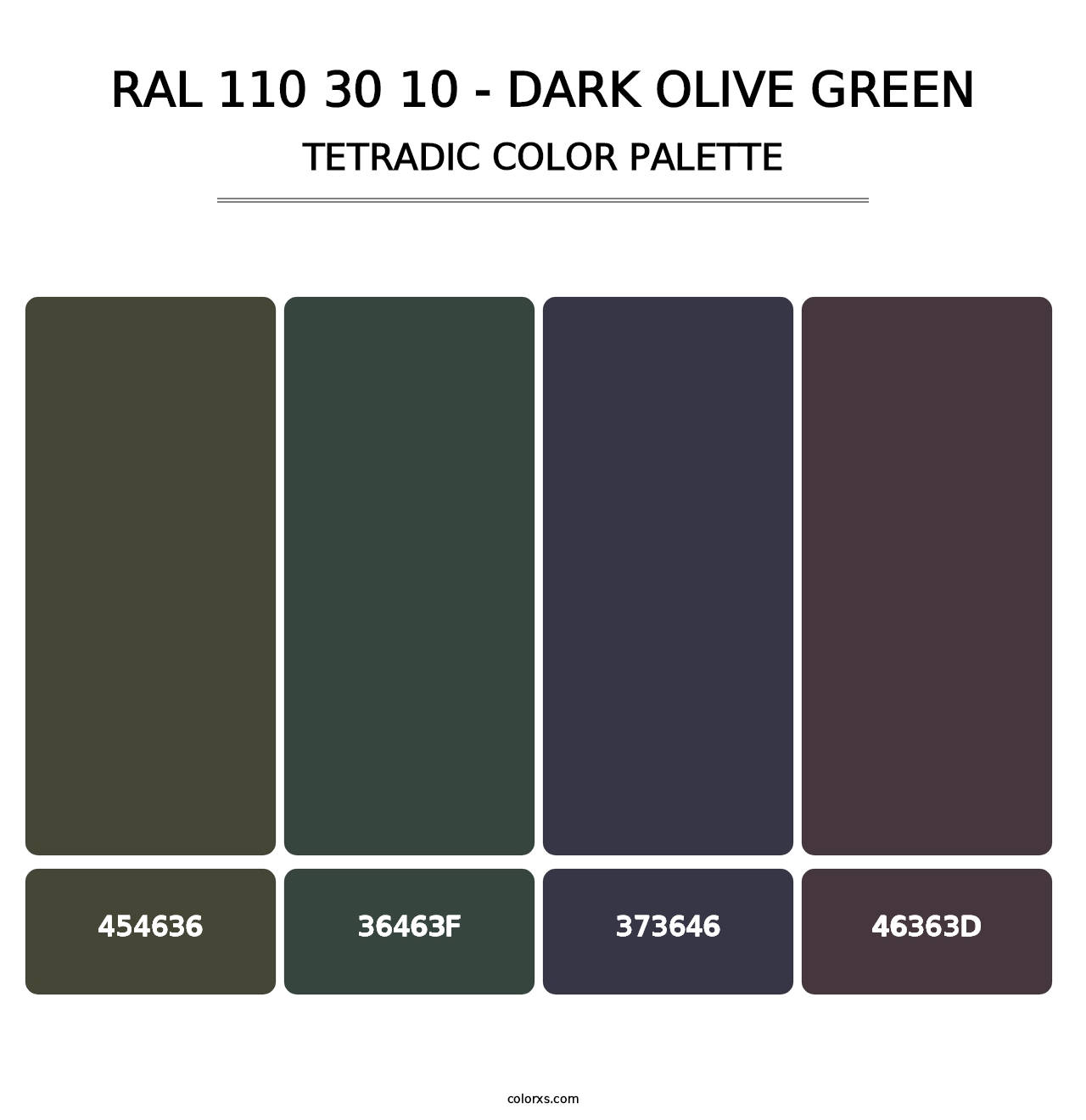 RAL 110 30 10 - Dark Olive Green - Tetradic Color Palette