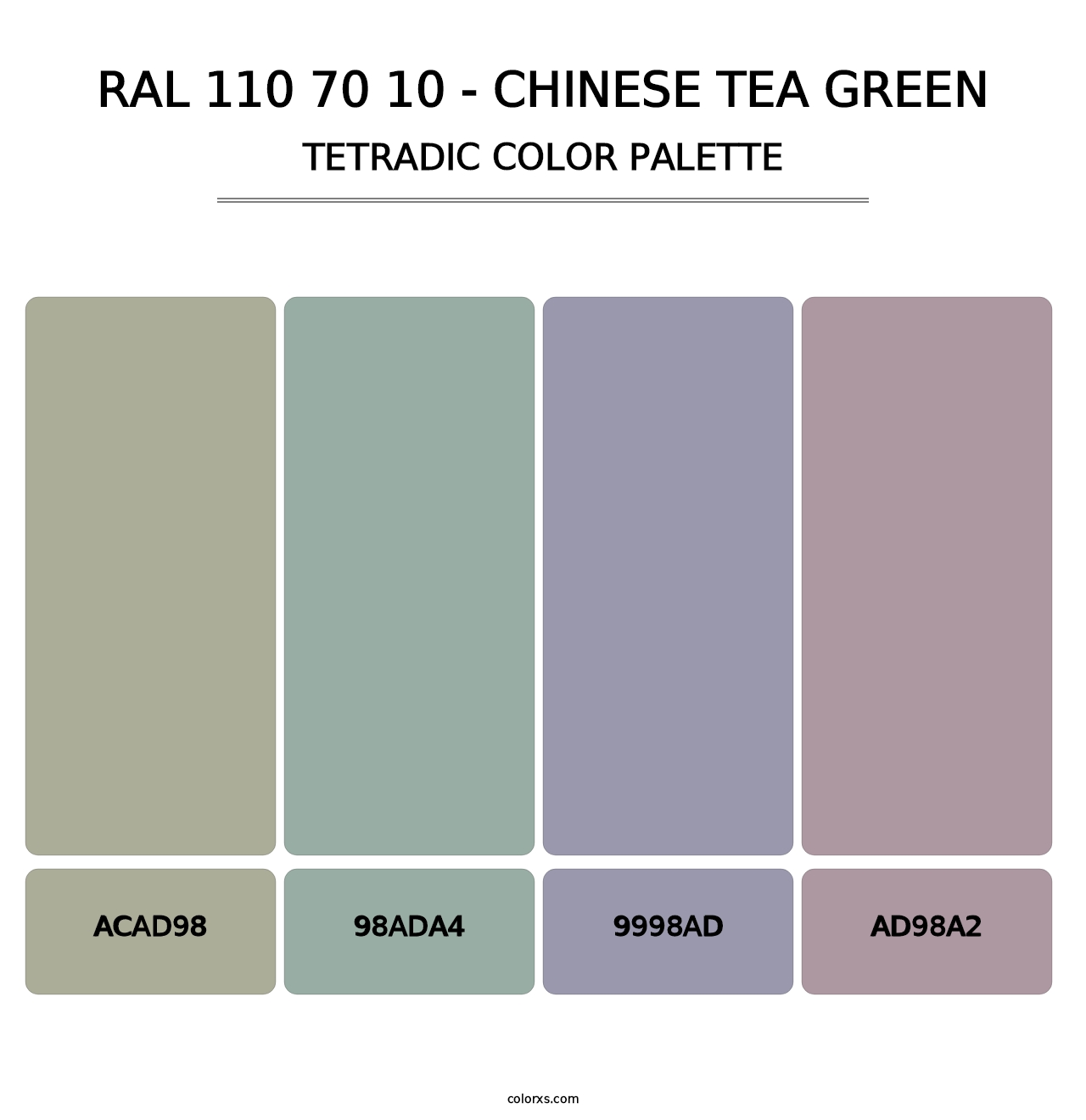 RAL 110 70 10 - Chinese Tea Green - Tetradic Color Palette