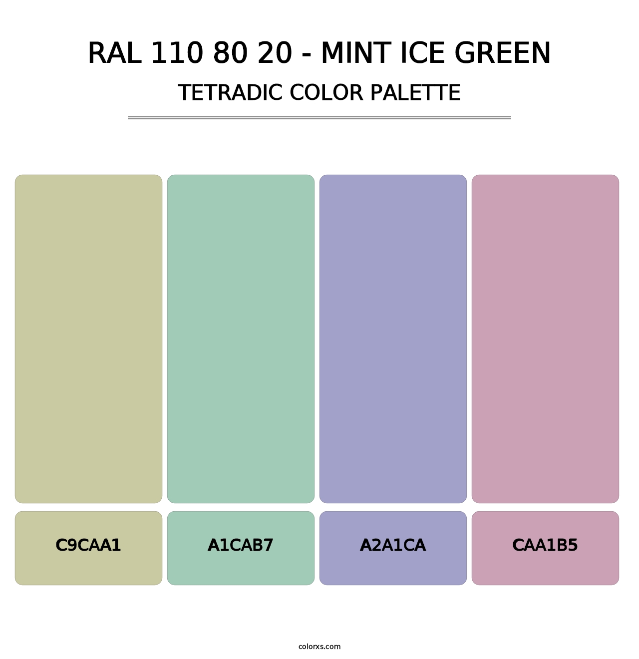 RAL 110 80 20 - Mint Ice Green - Tetradic Color Palette