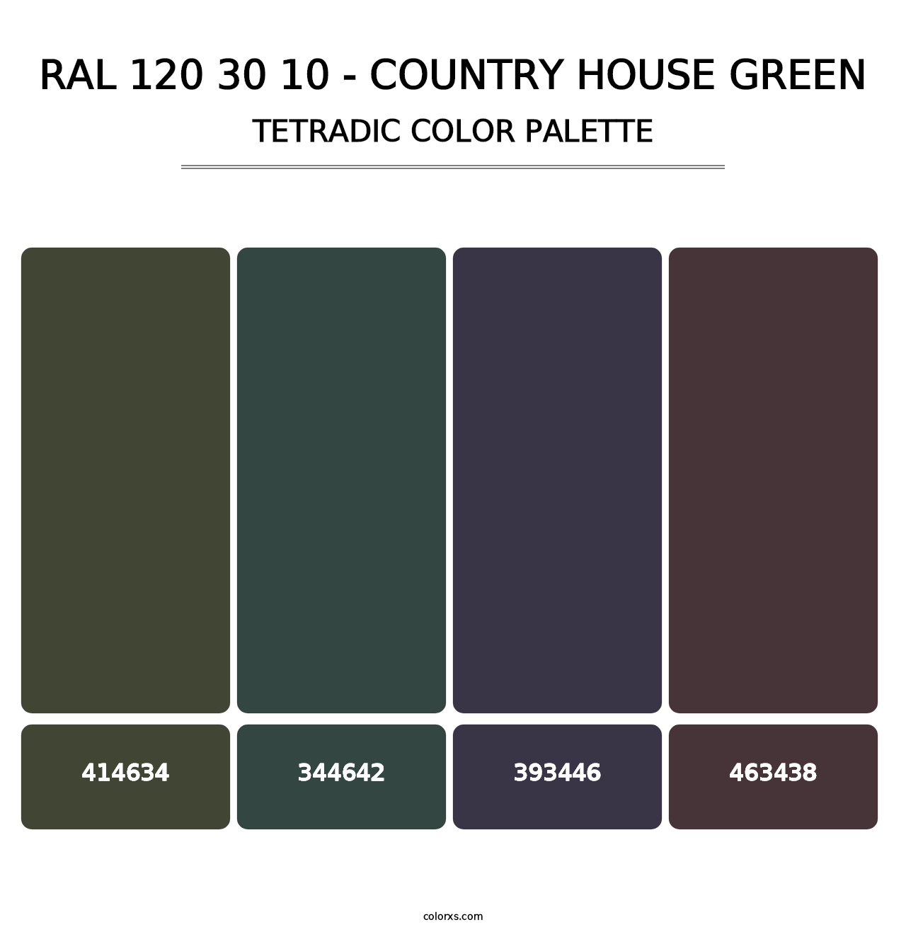 RAL 120 30 10 - Country House Green - Tetradic Color Palette