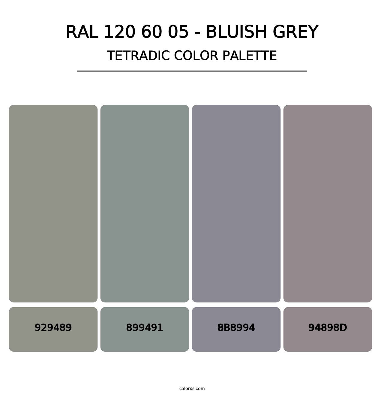 RAL 120 60 05 - Bluish Grey - Tetradic Color Palette