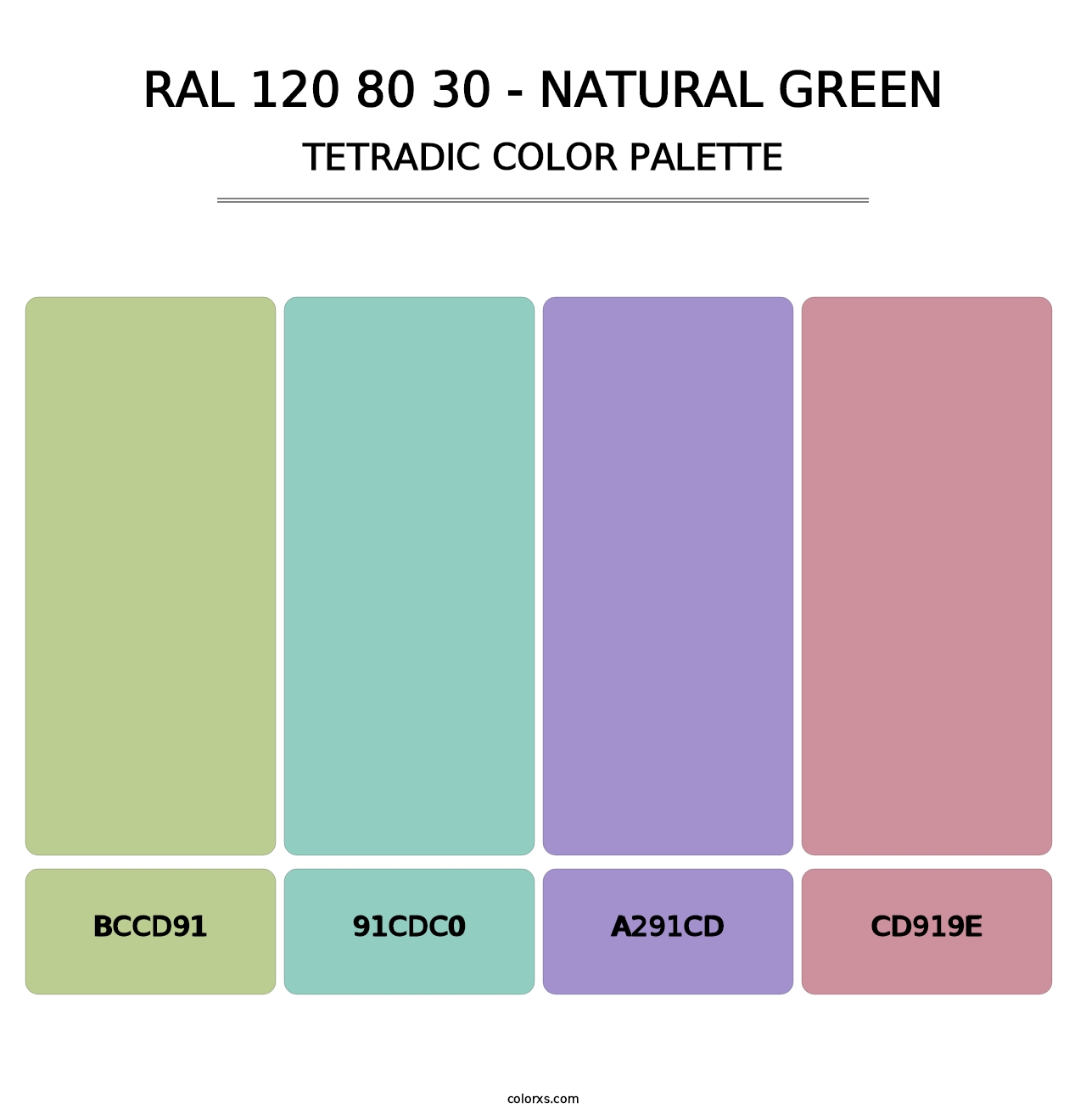 RAL 120 80 30 - Natural Green - Tetradic Color Palette