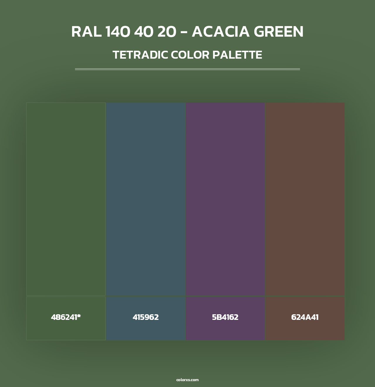 RAL 140 40 20 - Acacia Green - Tetradic Color Palette