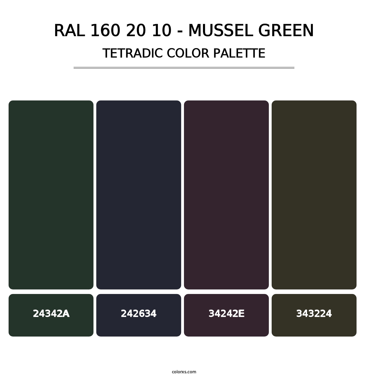 RAL 160 20 10 - Mussel Green - Tetradic Color Palette