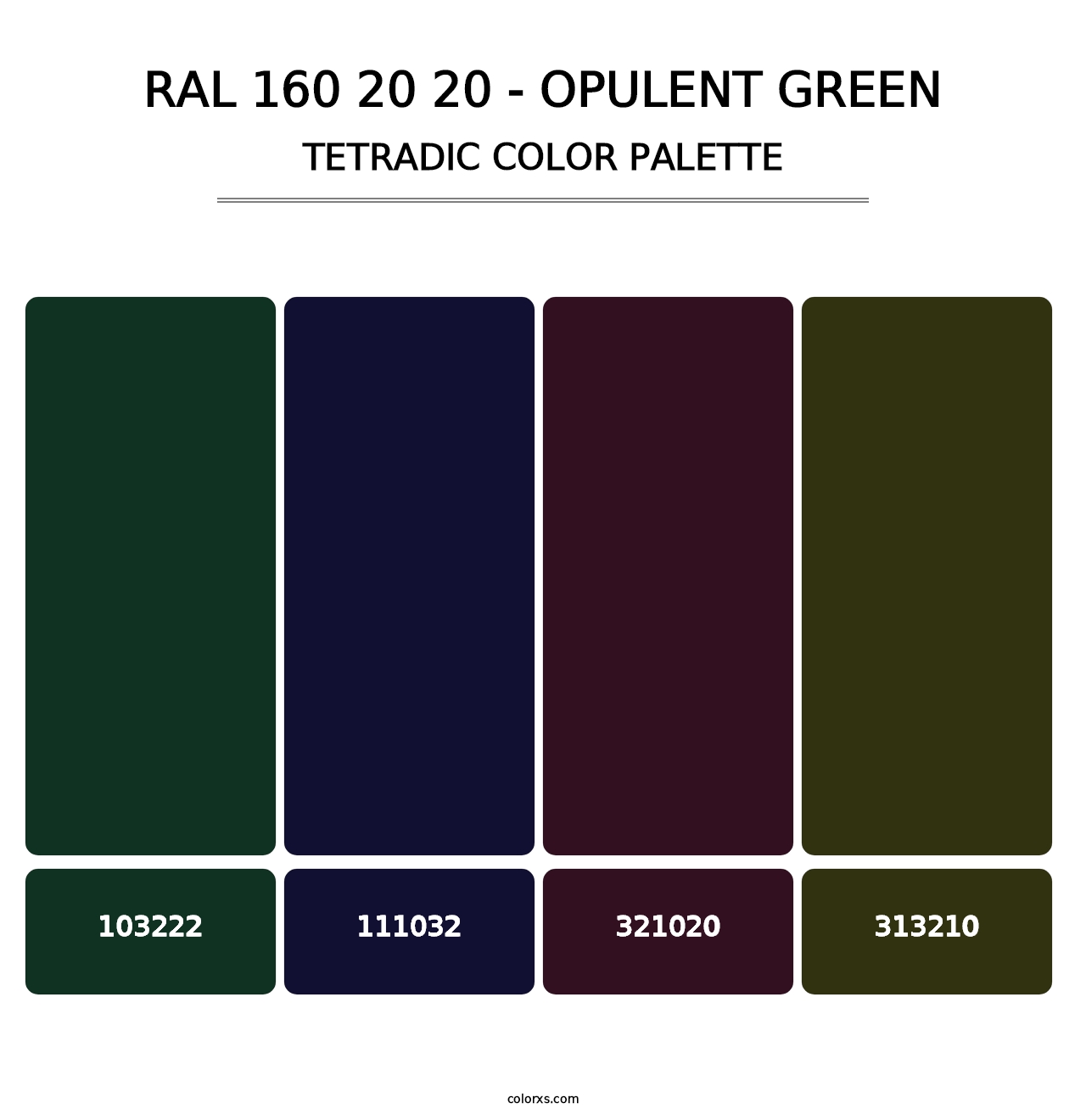 RAL 160 20 20 - Opulent Green - Tetradic Color Palette