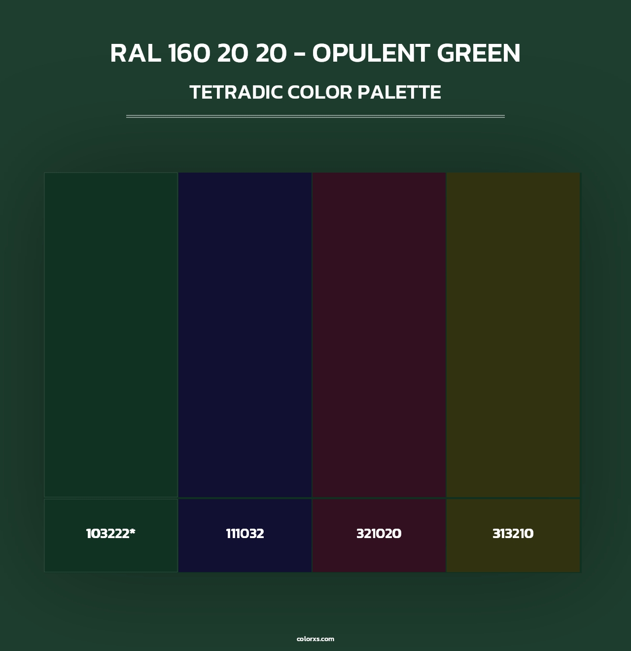 RAL 160 20 20 - Opulent Green - Tetradic Color Palette