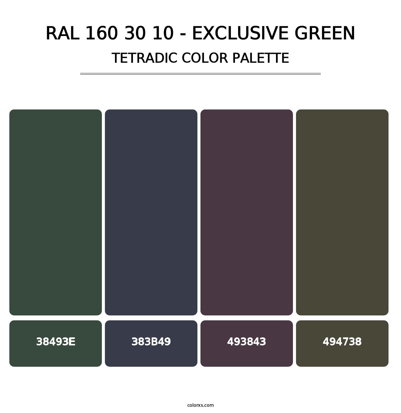 RAL 160 30 10 - Exclusive Green - Tetradic Color Palette