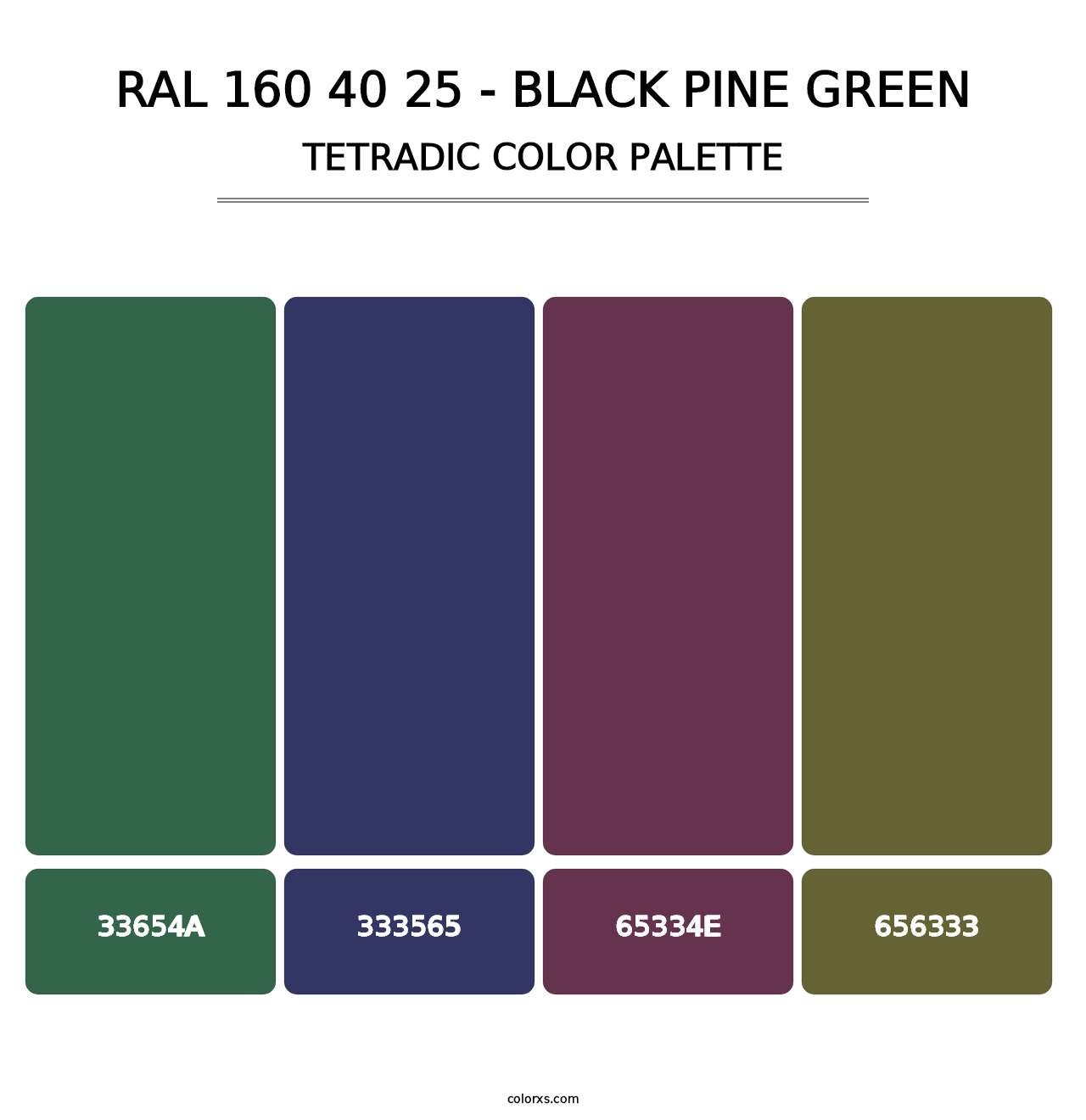 RAL 160 40 25 - Black Pine Green - Tetradic Color Palette