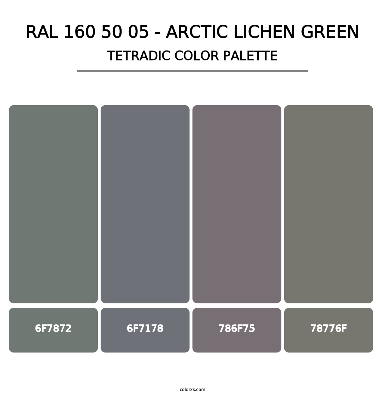 RAL 160 50 05 - Arctic Lichen Green - Tetradic Color Palette