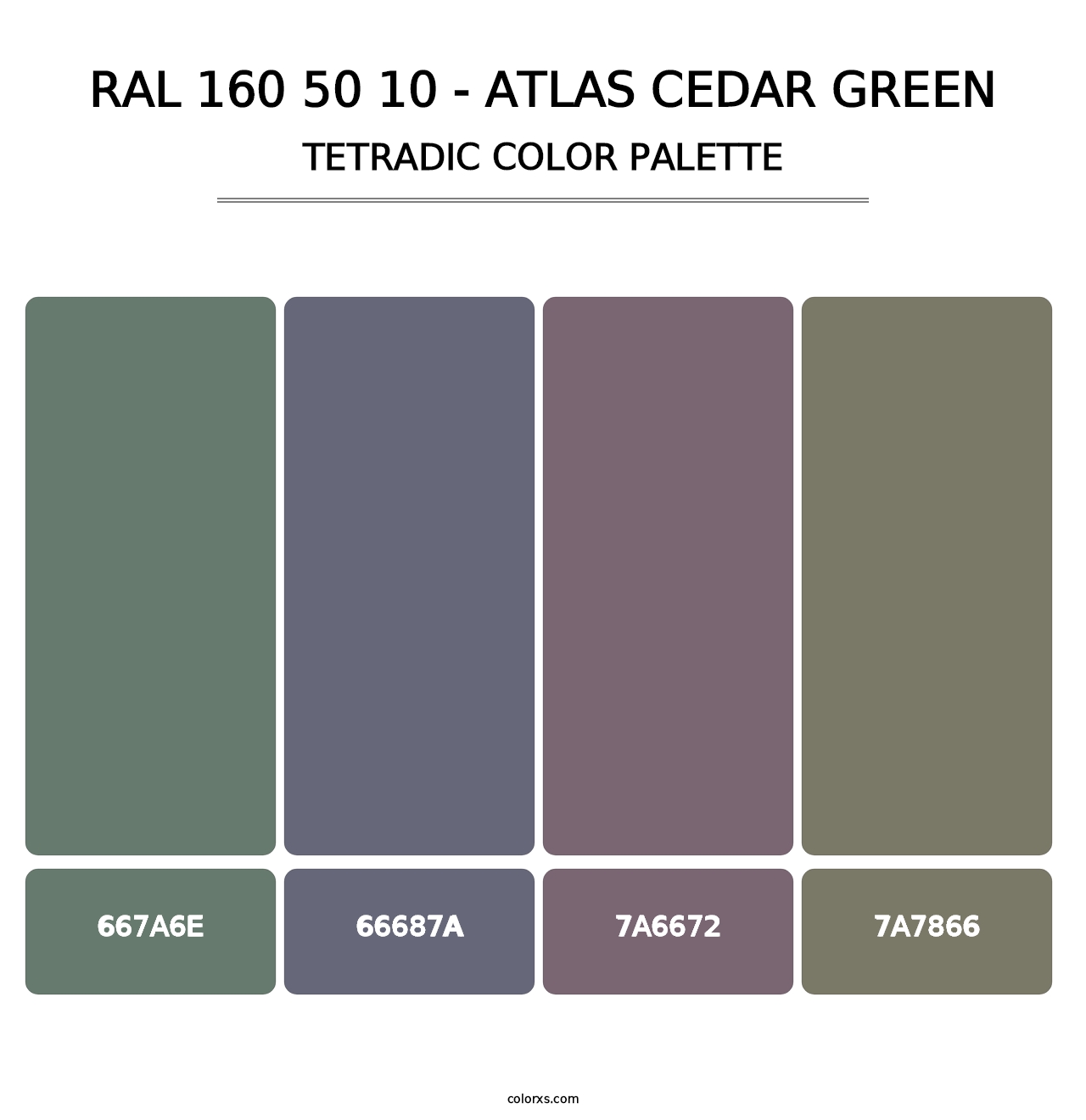 RAL 160 50 10 - Atlas Cedar Green - Tetradic Color Palette
